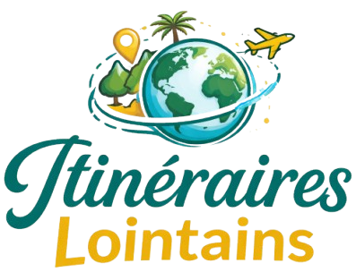 new logo removebg preview