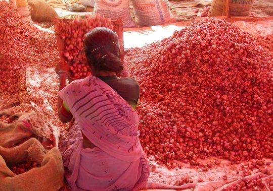 le grand tour du rajasthan rural