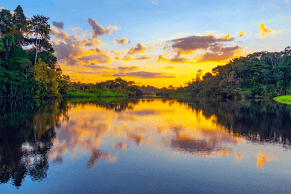 amazonie (1)