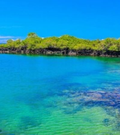 galapagos 300x300