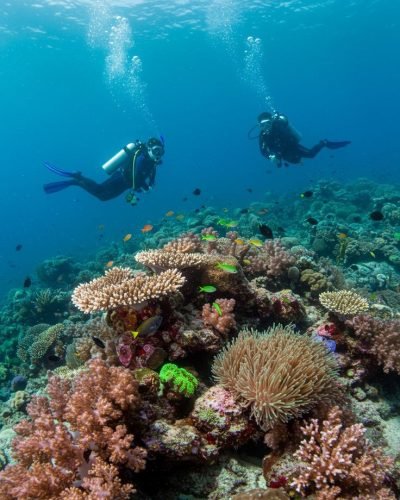 Îles raja ampat​