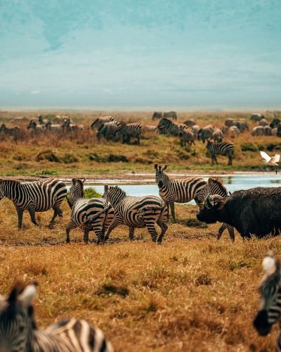 ngorongoro crater​