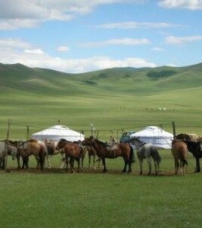 chez le cavalier mongol 400x150 300x300 (1)