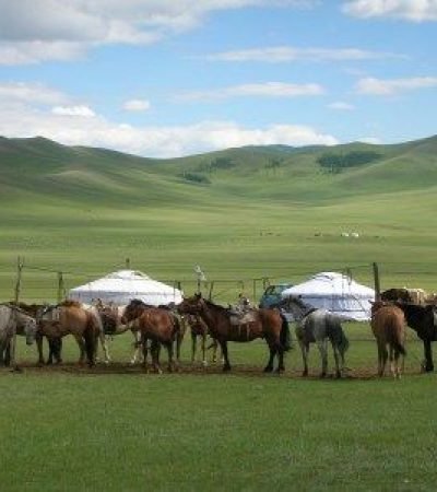 chez le cavalier mongol 400x150