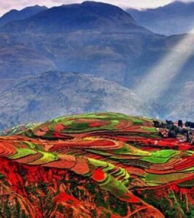 chine3 300x300 (2)