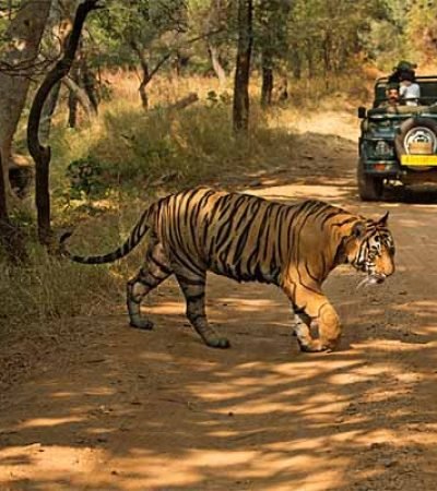 inde2