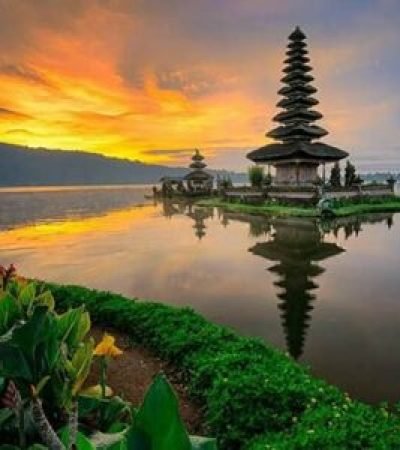 indonsie2 300x300 (3)
