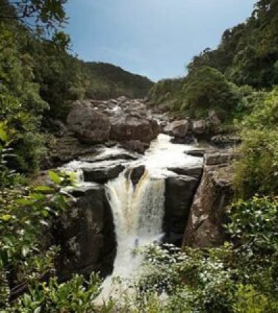 madagascar2 300x300 (1)