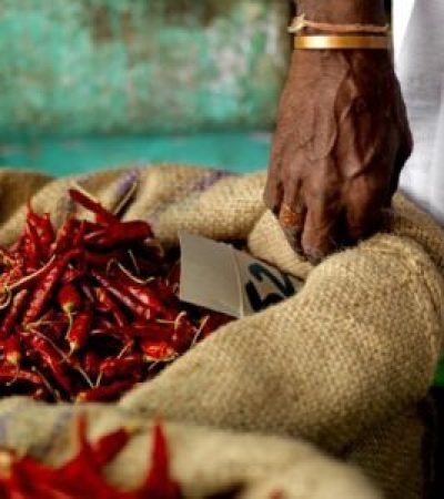 seller's hand on a burlag bag full of chillis in market, trichy, india