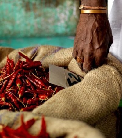 seller's hand on a burlag bag full of chillis in market, trichy, india