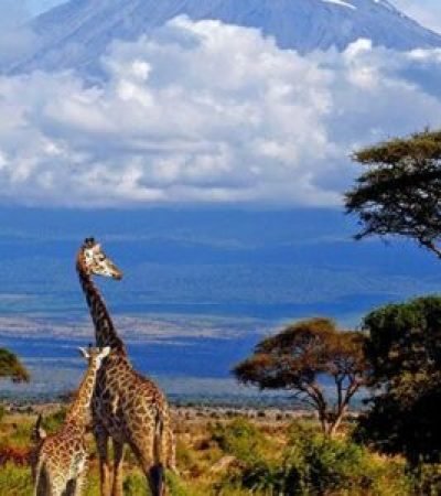 tanzanie 370x400 300x300 (3)